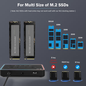 M.2 Duplicator Cloner Dual-Bay Offline USB C to NVME SATA Docking Station - Pilot NN/SS RGB