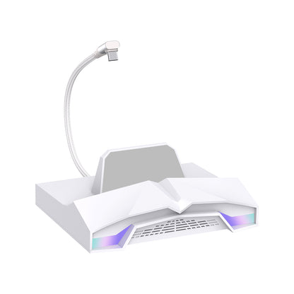 USB C Docking Station for Steam Deck, ROG Ally, Legion Go, Switch, AYANEO - White with RGB Light